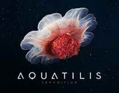 MPL: 'Turan Tovuz' büdrədi, 'Zirə' 'Şamaxı'nı qəbul edir - YENİLƏNİR