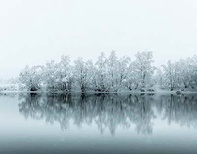 Жаңа Конституция мемлекет пен қоғам арасындағы қарым-қатынастың жаңа ережесін белгілейді – сарапшы