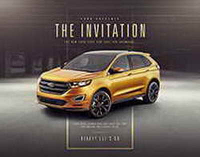 Побег из мясной лавки: история семи собак собрала 230 миллионов просмотров