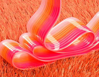 Құндыздар көбейіп, экожүйеге әсер етуде – ШҚО